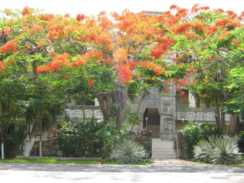 San Miguel Apartamento | Condumel