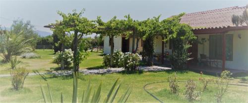 Melipilla Casa | Conectar con la naturaleza te hará más feliz