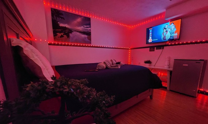 Thornton Casa | CONFORTABLE SUITE