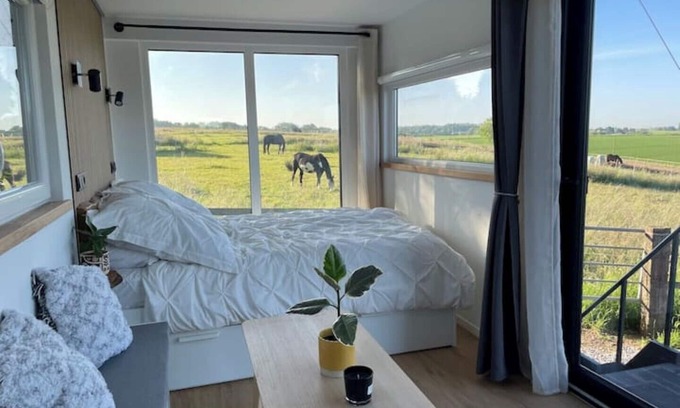 Bruch Casa | Container-tinyhouse Direkt Neben der Pferdekoppel
