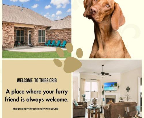 Lake Charles Casa | Contractor-readypets Ok 2 Kings Fast Wifi