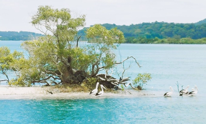 Coomera Alquiler De Eote | Coomera Houseboat Holidays