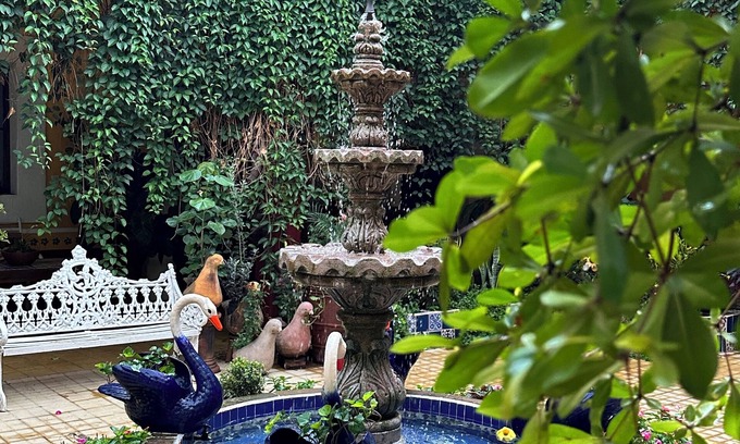 Mascota Hotel | Copa de Oro Hotel Boutique