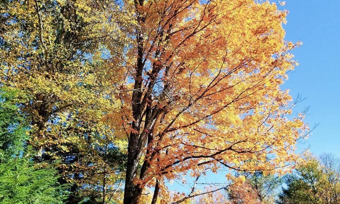 Sunday River Area Cabina | Copperfield Valley Cabin