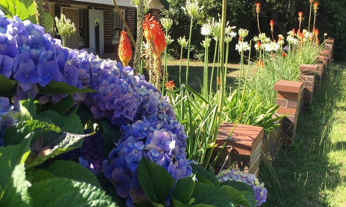 Mittagong Cabaña | Coppin Cottage Country Retreat Mittagong Tierras Altas del Sur.