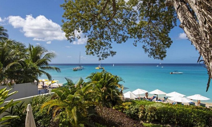 Old Trees Bay Apartamento | Coral Cove 4