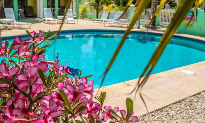 Hato Apartamento | Coral Paradise Resort