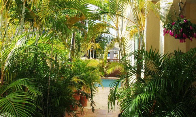 Condado Hotel | Coral Princess Hotel