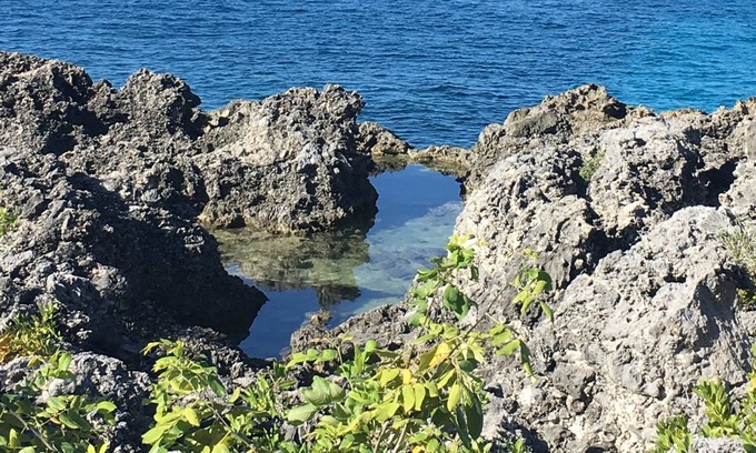 West End Hotel | Coral Seas Cliff