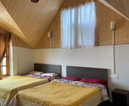 Darjeeling Casa | Corner Homestay by The Pine Cones