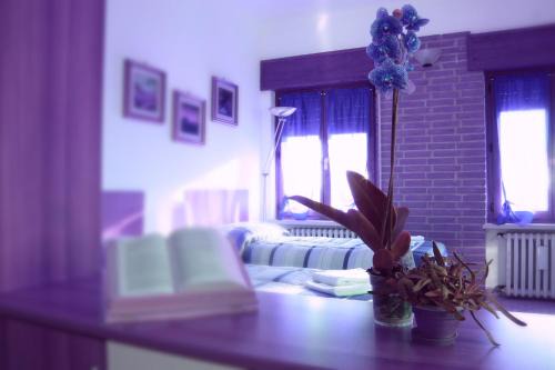 Sud Apartamento | Corte Graziella