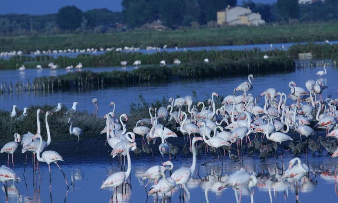 Comacchio Casa | Corte Spina