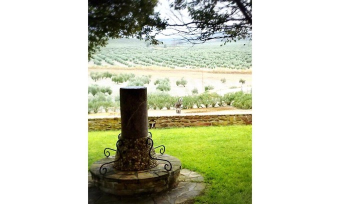 Arjona Casa | Cortijo Cabañas Apartamentos Rurales. Atico