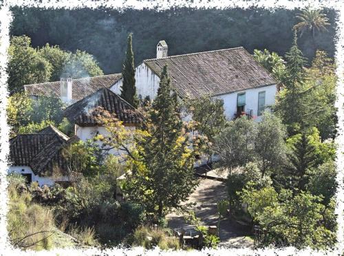 Puerto de la Torre Casa | Cortijo Casas Viejas