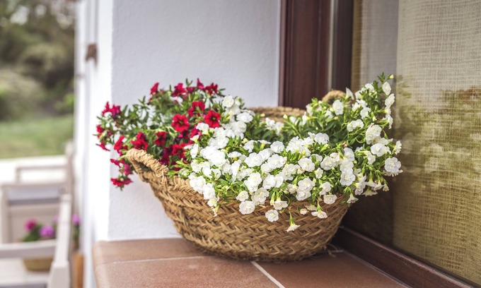 Huescar Casa | Cortijo La Paloma