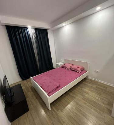 Stefanestii de Jos Apartamento | Cosmopolis Single Bedroom Apartment 204
