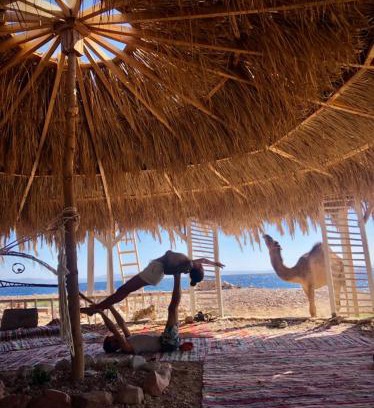 Dahab Otro | COSMOS nature Lodge and Spiritual community