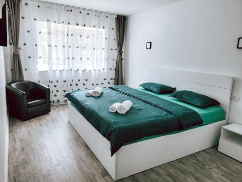 Fagaras Apartamento | Cosy apartment Fagaras