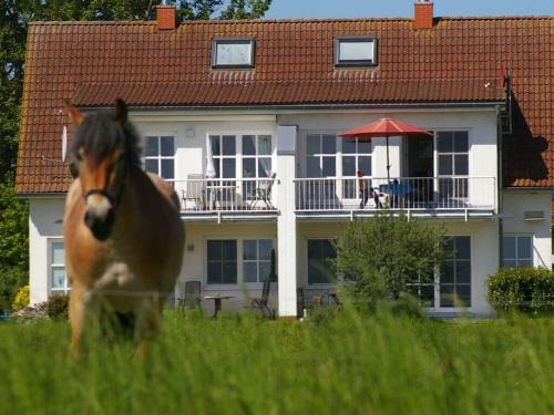 Zudar Apartamento | Cosy apartment in Garz