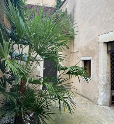 Auxerre Apartamento | Cosy appartement Hyper centre ville avec cour + Patio