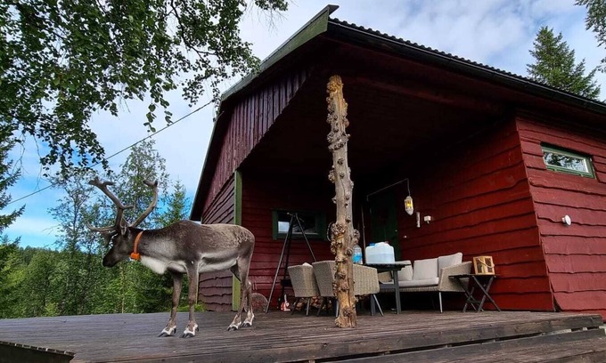 Sorreisa Cabina | Cosy cabin nearby Bardufoss Airport and Senja w/ Hottube.