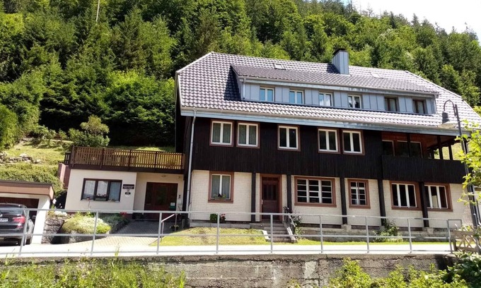 Menzenschwand-Hinterdorf Apartamento | Acogedor apartamento con balcón y terraza privada en St. Blasien, en la Selva Negra