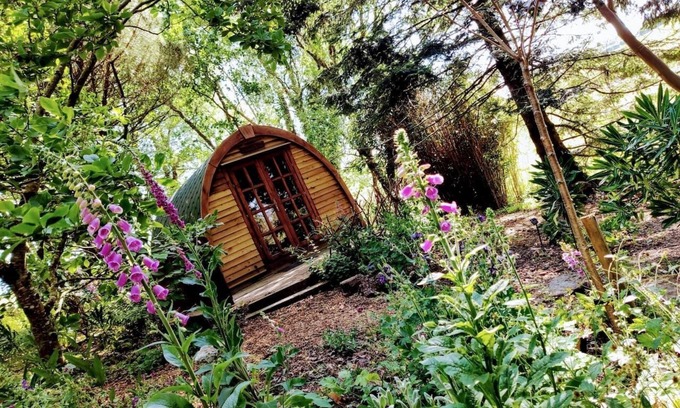 Saltash Cabina | 'Wollemia' La cápsula pacífica en The Greenhouse Spa Retreat