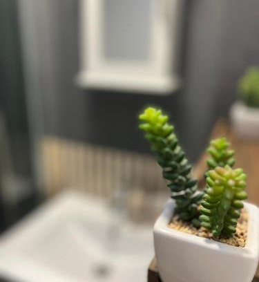 Waddon Casa | Cosy Home STUDIO
