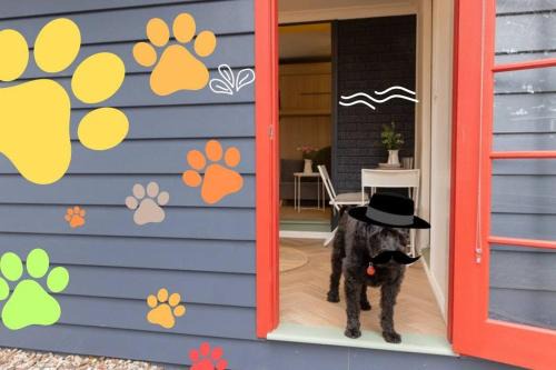 Blackheath Apartamento | Cosy & Pet-friendly Blackheath Studio 3