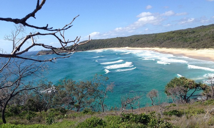 Palm Beach Cama Y Desayuno | Cosy Studio walk to Whale beach