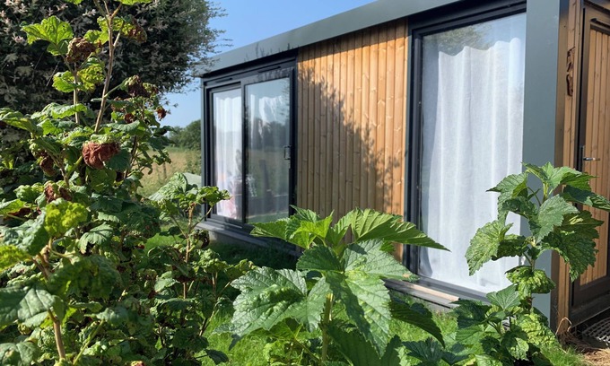 New Forest District Cabina | Cosy Studio with a field view