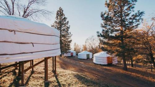 Dunlap Casa | Cosy yurt at a nature retreat in Sequoia N Forest