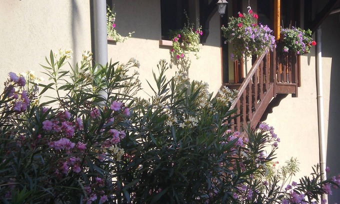 Wolxheim Apartamento | Cabaña en el enólogo para 6 personas.