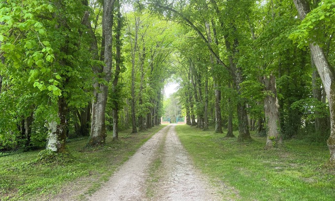 Princay Cabaña | Cottage Dans un Bain de Verdure Avec Arbres Magestieux .idéal Pour les Familles