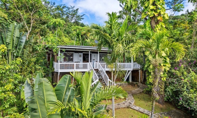 Canovanas Cabaña | Cottage in a 5 acre property w. a creek in the Rain Forest all for yourself!