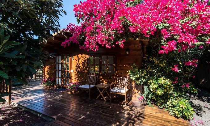 La Orotava Cabaña | 2 casas nuevas en plantaciones de aguacate cerca de la playa de Bollullo y Puerto Cruz