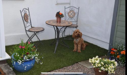 Evesham Casa | Cottage in Worcestershire