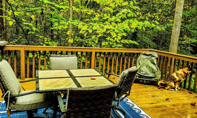 Gumlog Casa | Cottage on Lake Hartwell! Cozy fireplace, wooded trail to dock, & dog friendly!