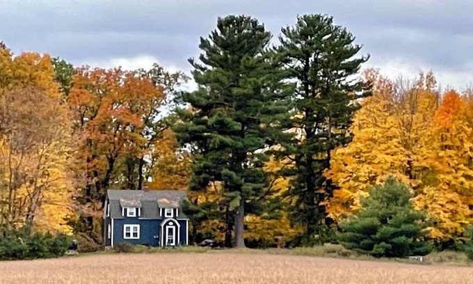 Shell Lake Cabina | Cottage- Shell Lake on Little Long Lake