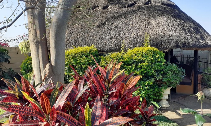 Harare Casa | Beautiful 2-bedroomed Guest Cottage in Harare