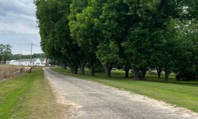 Sylvester Casa | Cotton Top Farm