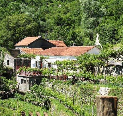 Karuc Apartamento | Country House Dajkovic