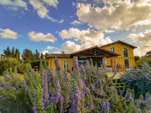 Frascati Casa | Country House Erba Regina