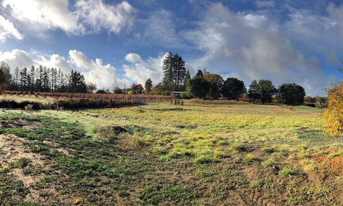Graton Casa | Country property close to boutique wineries. A romantic getaway