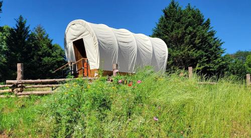 Lenoir Otro | Covered Wagons Hill Camp - WAGON 2