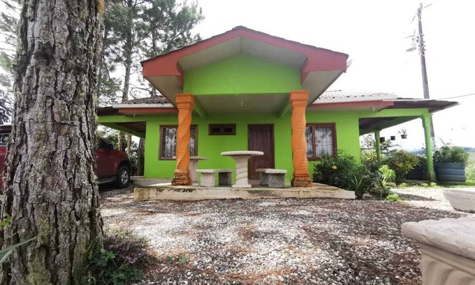Quebrada La Gamba Casa | Cozi cabin in the mountains surrounded by pine trees