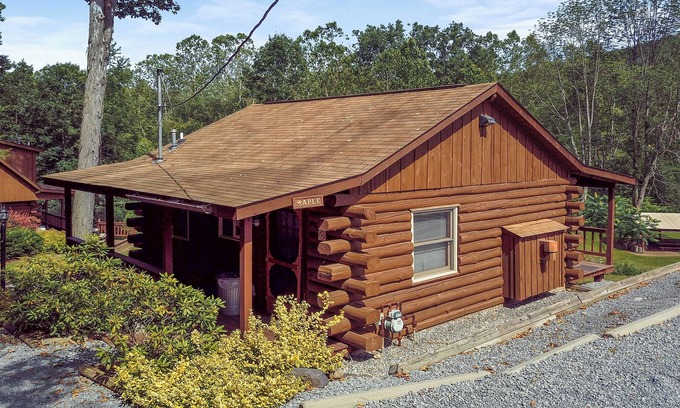 Gaines Cabina | Cozy 1-bedroom cabin with AC, romantic gas fireplace & private porch with swing