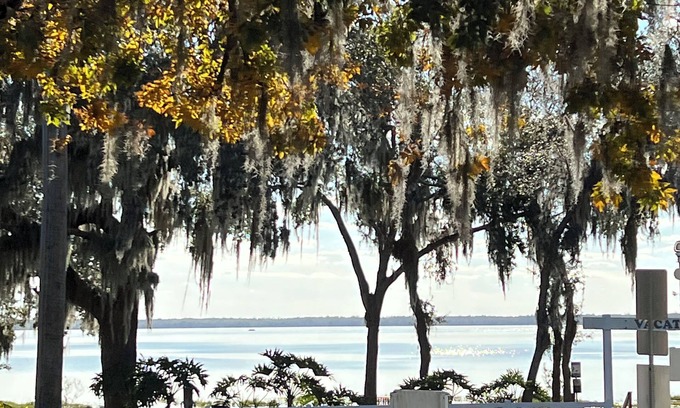 Clermont Condominio | Cozy 2-bedroom Loft- Pool, Pickle Ball, B-ball, Theme Parks and More Clermont