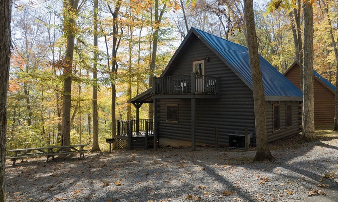 Jamestown Cabina | Cozy 3 Bed Log Cabin at Jamestown Marina, Tucked Away in a Wooded Area #301