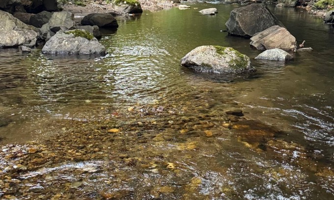 Woodbury Cabina | Cozy 3-bedroom cabin in Woodbury. With Brook and mountain to enjoy.